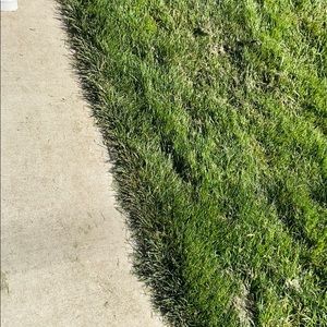 Meet your Posher, Drew